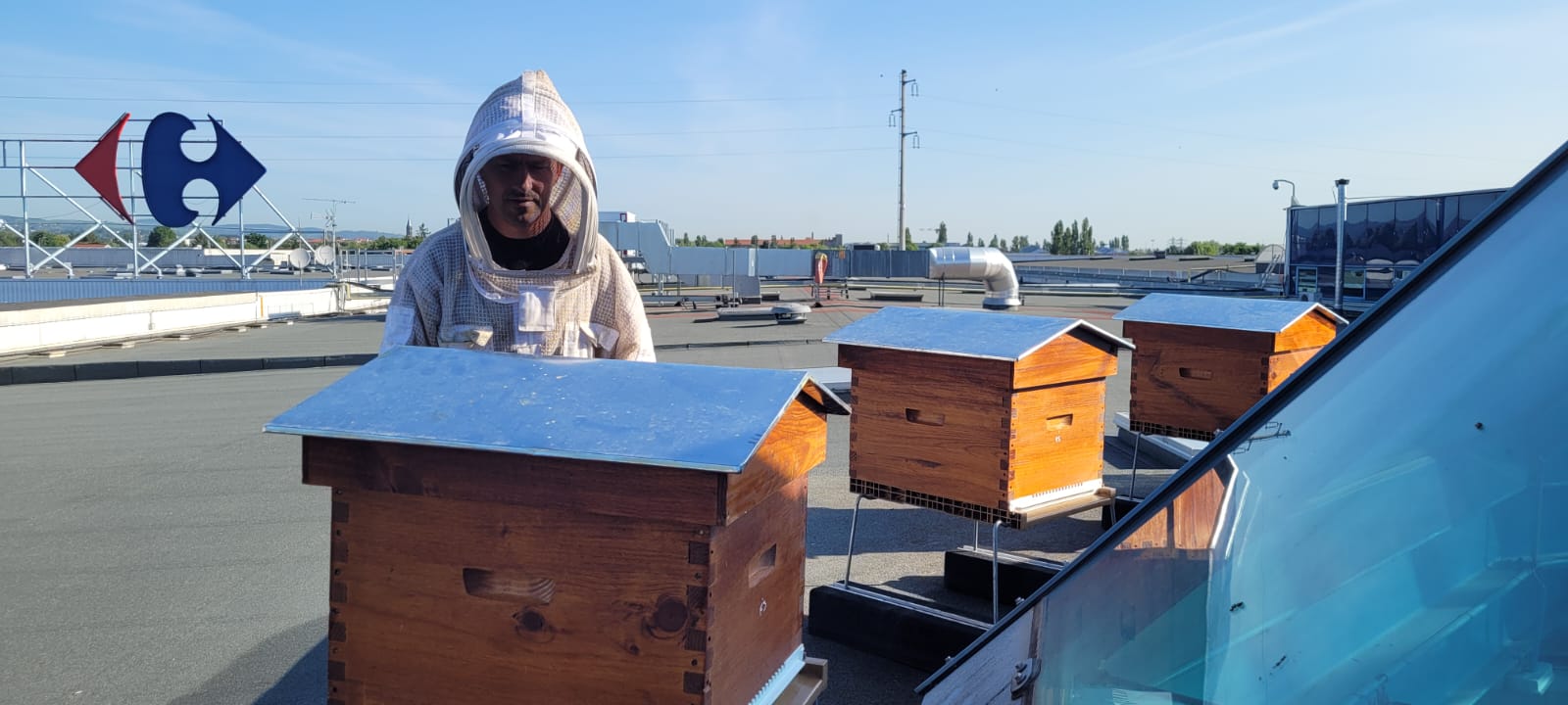 Des abeilles sur le toit !