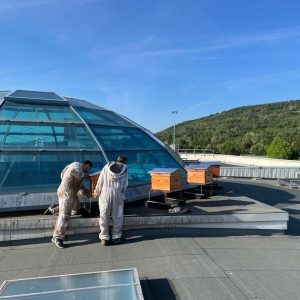 Bee happy avec Riom Sud ! Bee happy avec Riom Sud !