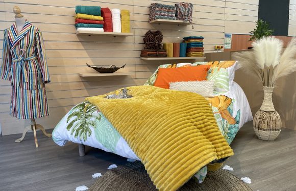 L’univers du végétal déménage ! L’univers du végétal déménage !