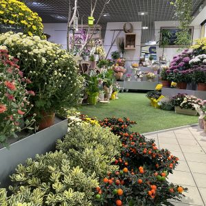 Préparez la Toussaint avec Le Rythme des FLeurs !