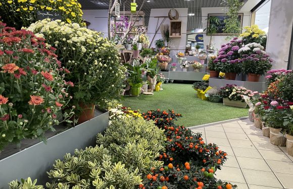 Préparez la Toussaint avec Le Rythme des FLeurs !