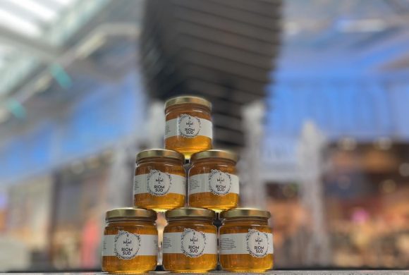 Du miel produit à Riom Sud !