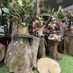 Les fêtes avec votre fleuriste préféré ! Les fêtes avec votre fleuriste préféré !