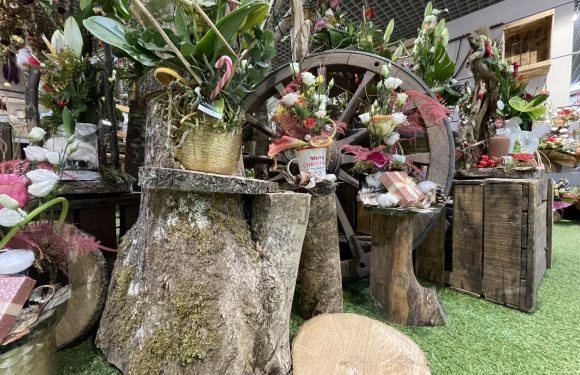 Les fêtes avec votre fleuriste préféré !