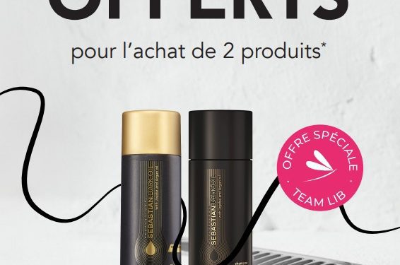 Sebastian arrive Chez Bleu Libellule !