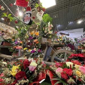 Des fleurs en idées cadeaux pour Noël ? Des fleurs en idées cadeaux pour Noël ?