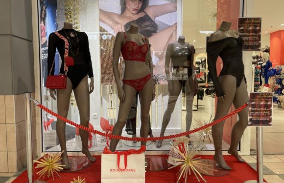 Rouge Gorge x Inès Vandamme Rouge Gorge x Inès Vandamme