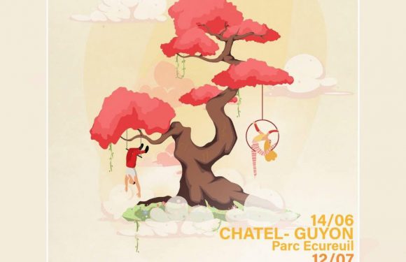 Jeu-Concours / Dans les Arbres !