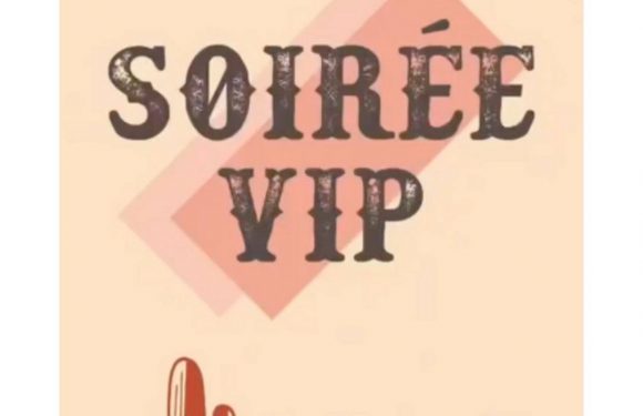 La soirée VIP de VIB&rsquo;S !