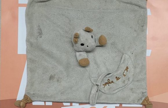 SOS Doudou perdu à Riom Sud !