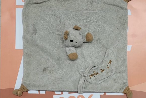 SOS Doudou perdu à Riom Sud !