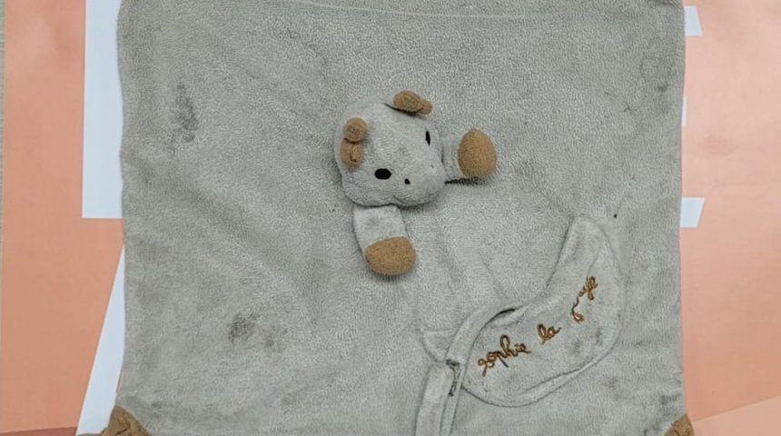 SOS Doudou perdu à Riom Sud !