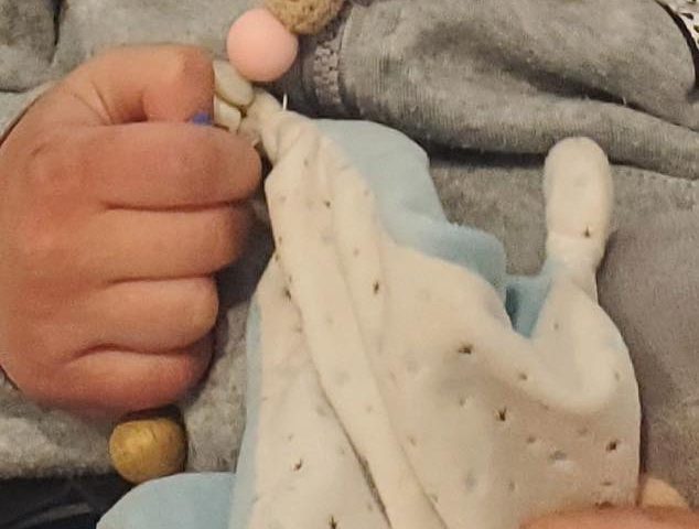 SOS DOUDOU PERDU !